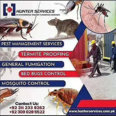 Fumigation Service/Pest Control Services /Termite Spray/ Demak Control