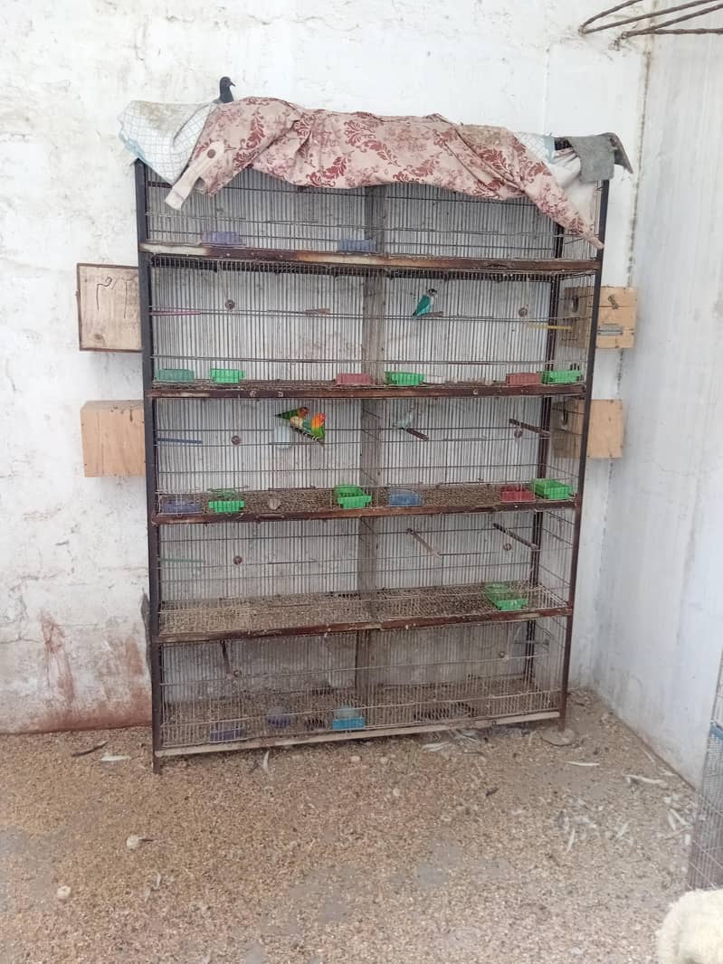 cages 0