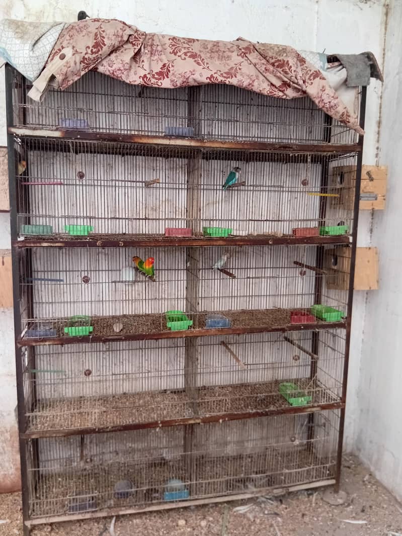 cages 1