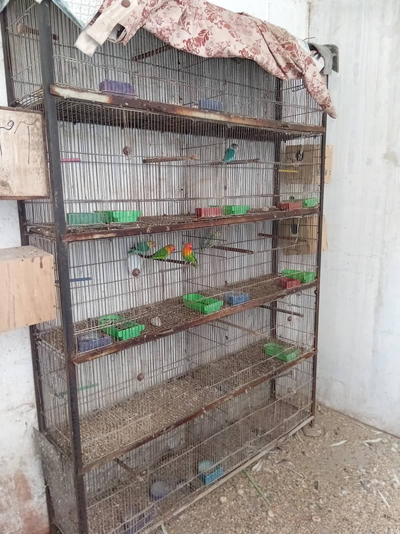 cages 2