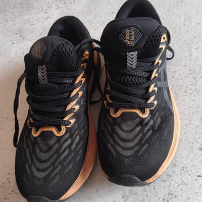 ASICS GT-2000 11 Running Shoes EU 41 US 8