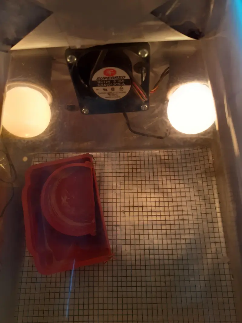 incubator for sale — photo 6