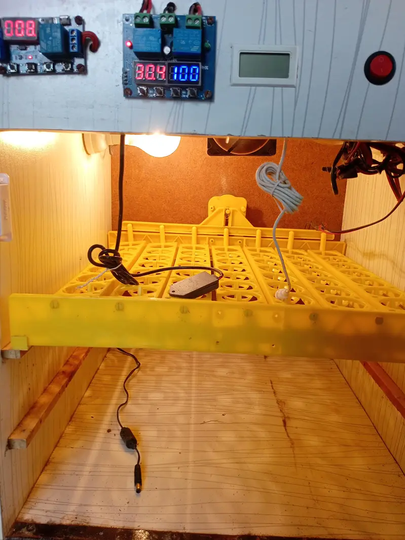 56 Eggs Automatic Egg Incubator – For Sale — photo 2