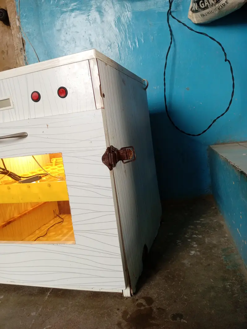 56 Eggs Automatic Egg Incubator – For Sale — photo 5