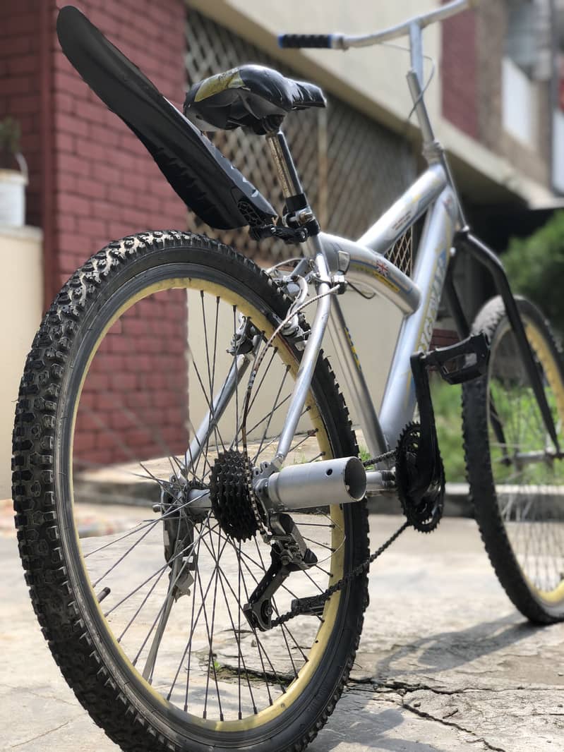 Cycle 1