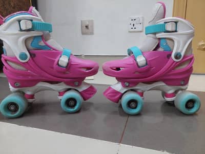 Chicago skates