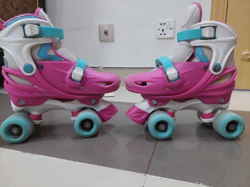 Chicago skates 0