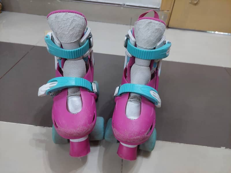 Chicago skates 2