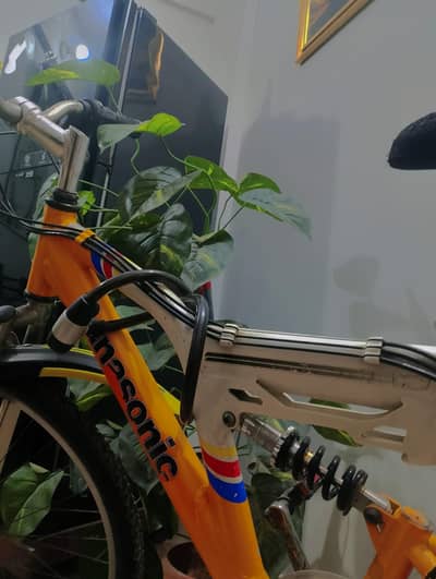 Panasonic Bicycle