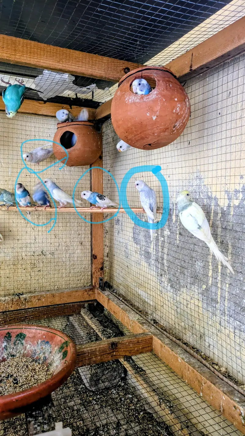 urgent sale — photo 2