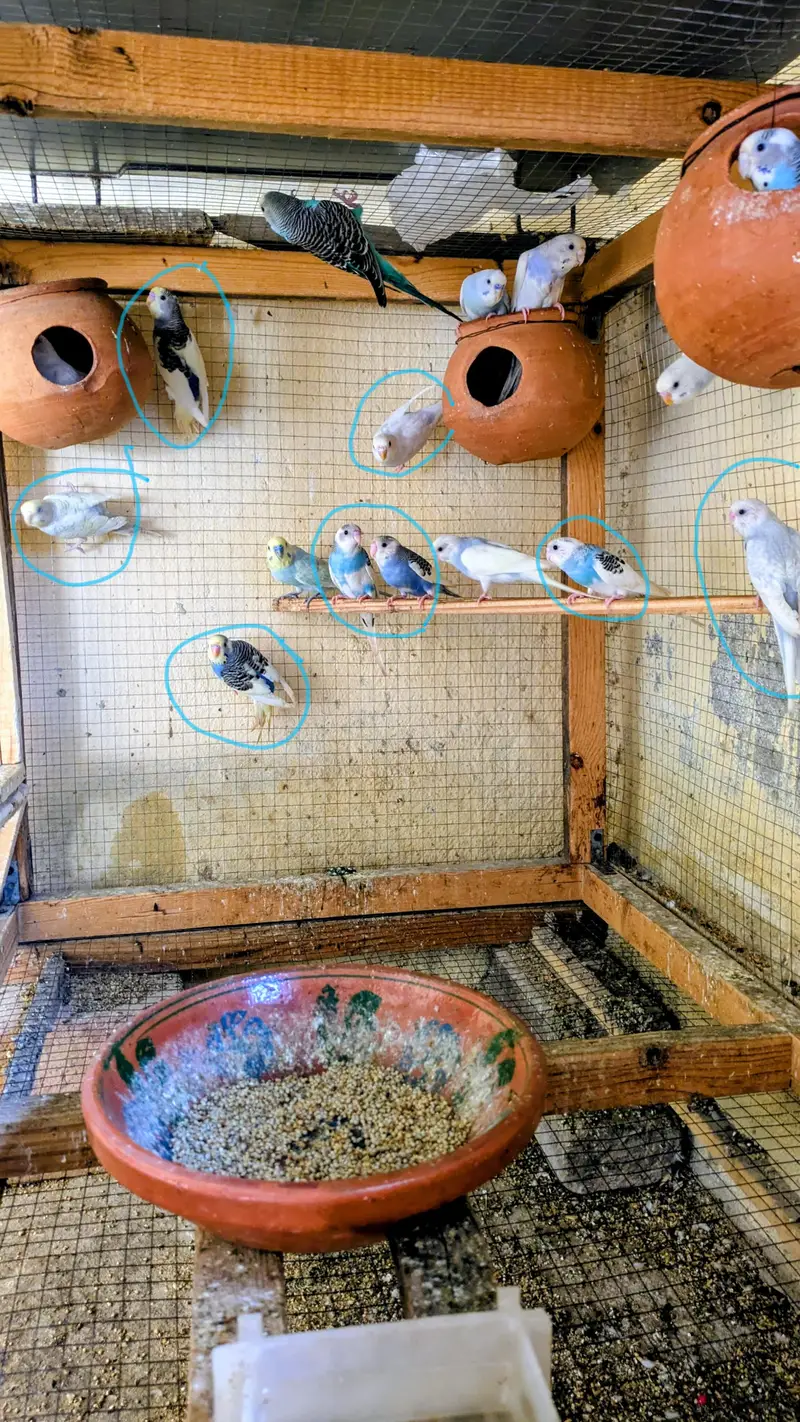 urgent sale — photo 3