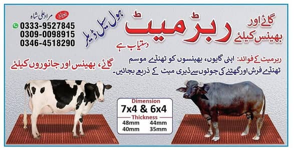 Cow / cow mats available / cow met / mattress | bull | Bachra / بچر ا