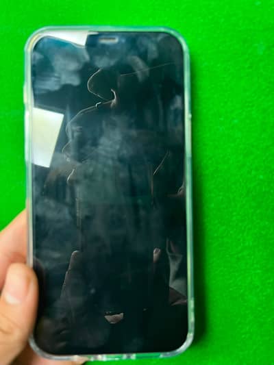 Apple iPhone 12 Pro Max