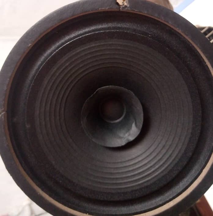 Speaker 8inch 1