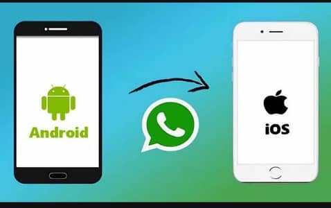 Whatsapp data transfer from android to iPhone