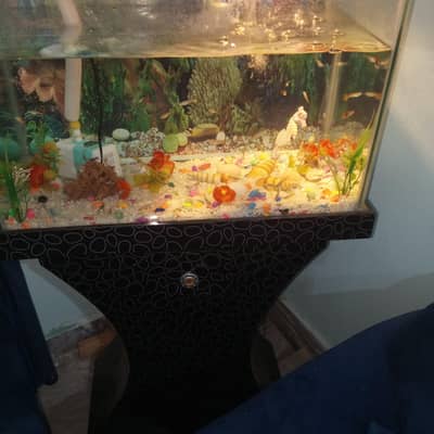 aquarium for sale