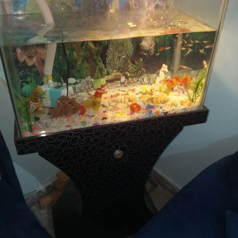 aquarium for sale — photo 2