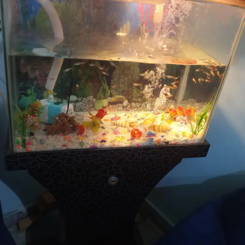 aquarium for sale — photo 3