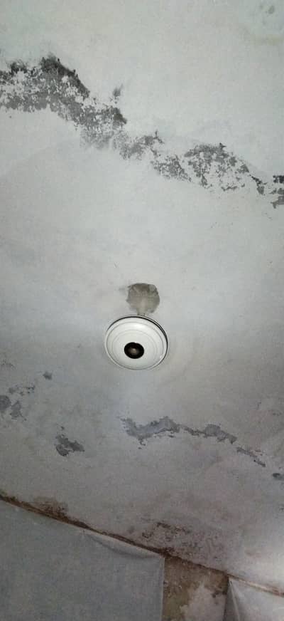 2 fans for sale