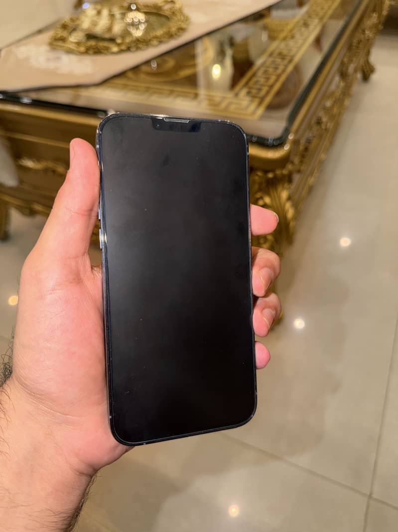 Apple iPhone 13 Pro Max 1