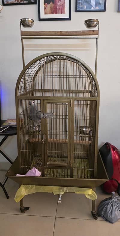 African Grey Parrot Cage
