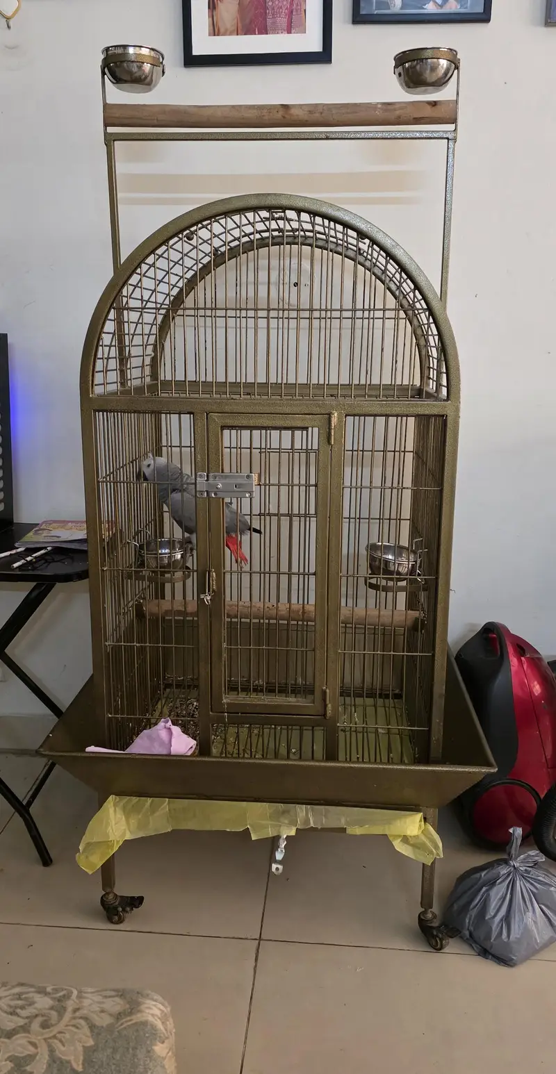 African Grey Parrot Cage — photo 2