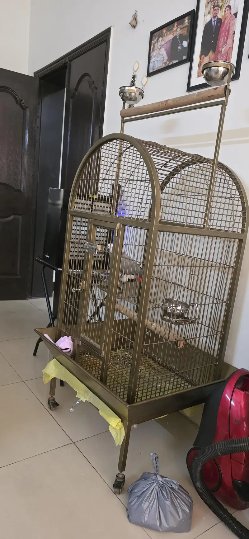 African Grey Parrot Cage — photo 3