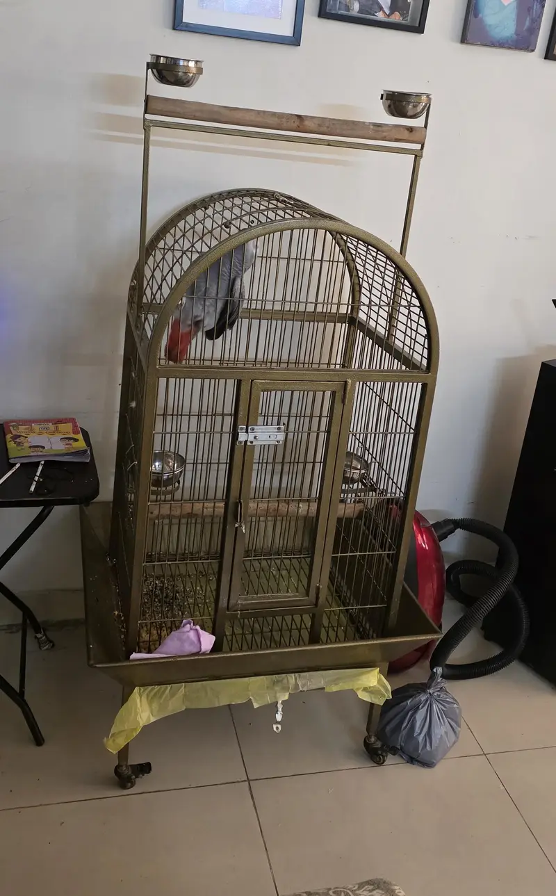 African Grey Parrot Cage — photo 4