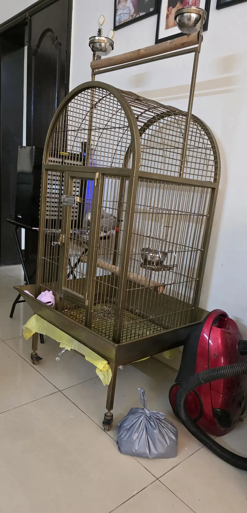 African Grey Parrot Cage — photo 5