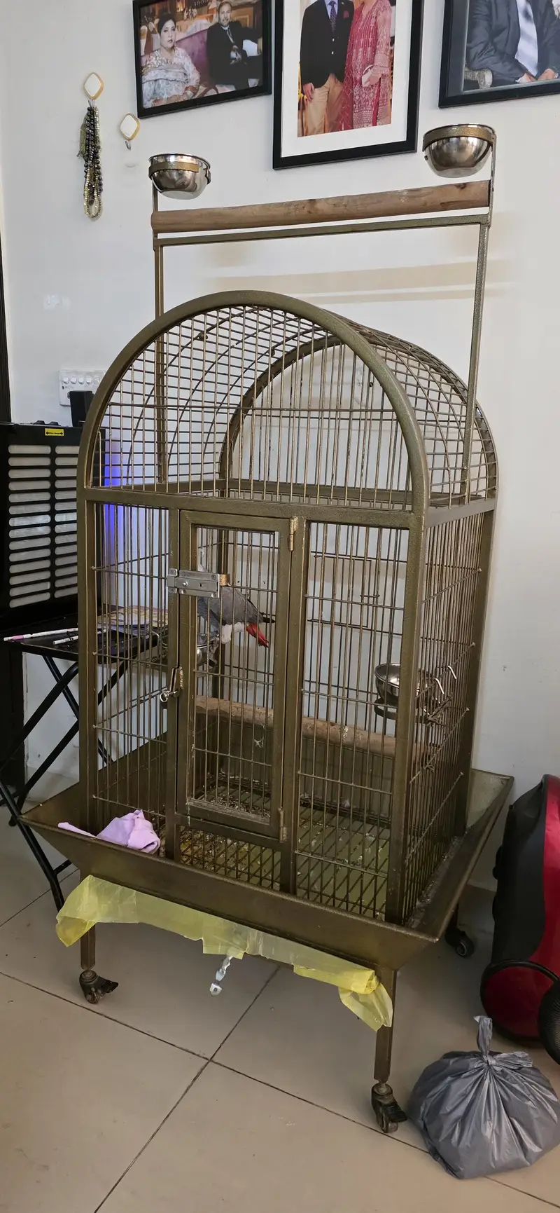 African Grey Parrot Cage — photo 7