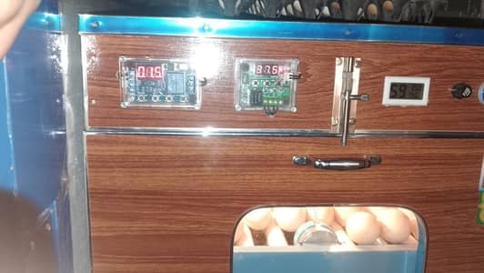 incubator | 100 eggs incubator | fully automatic incubator | eggs hat