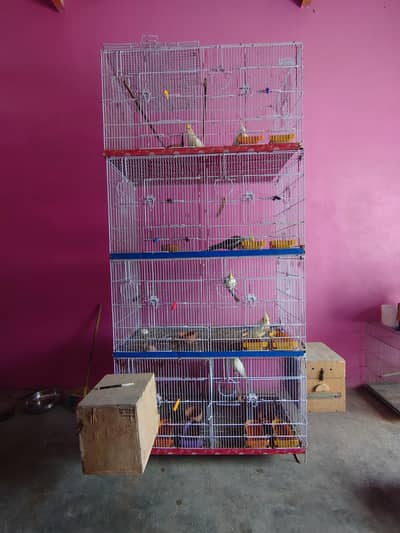 Zarar 8 Portion Cage