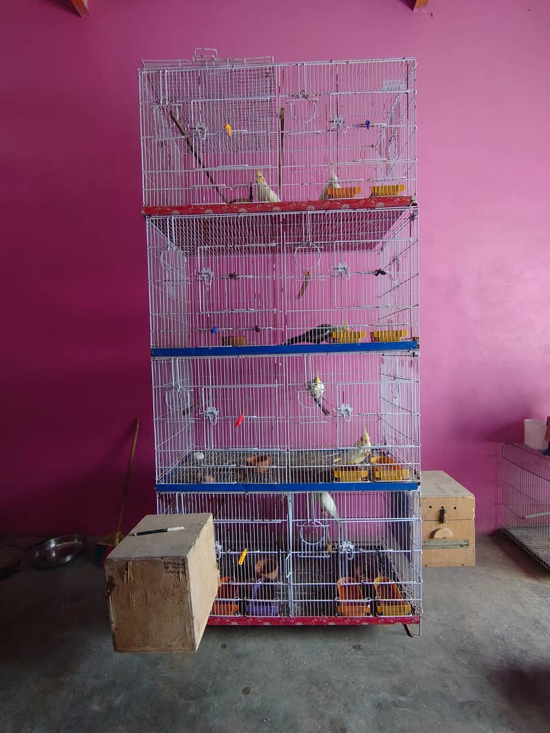 Zarar 8 Portion Cage 0