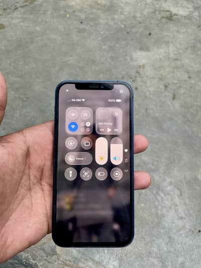 Apple iPhone 12