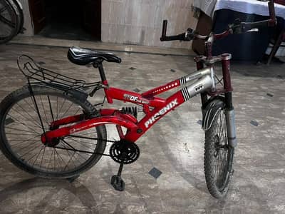 Phoenix Mountain bike