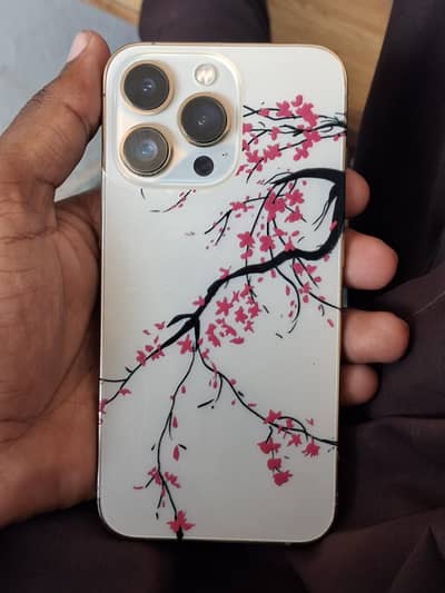 Apple iPhone 13 Pro