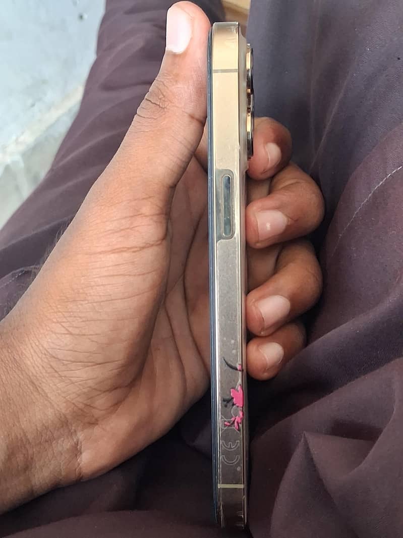 Apple iPhone 13 Pro 2