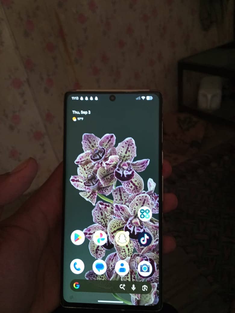 Google Pixel 6 Pro 2