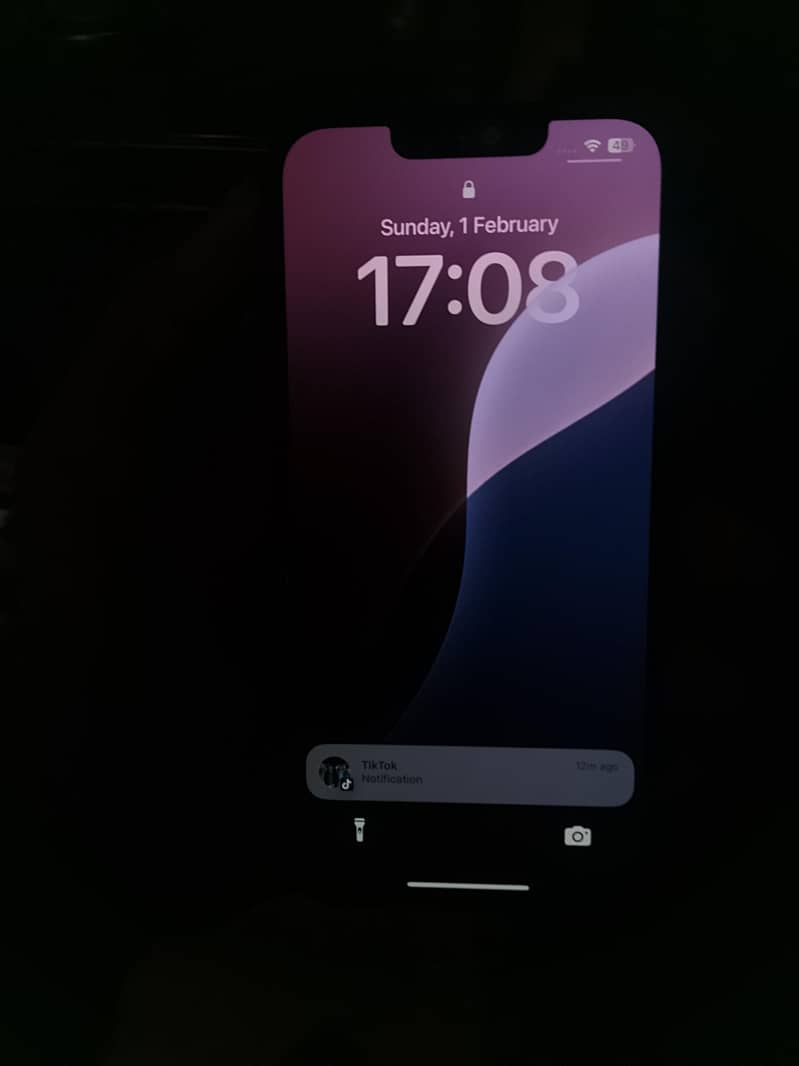 Apple iPhone 13 1