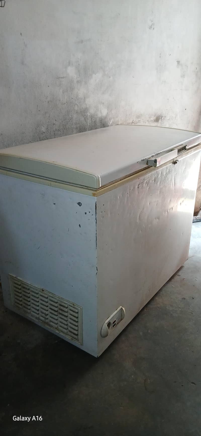 Freezer 4