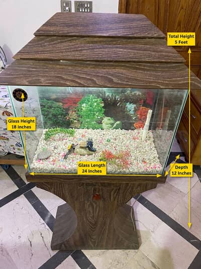 Aquarium For Sale – Complete Decorative Setup