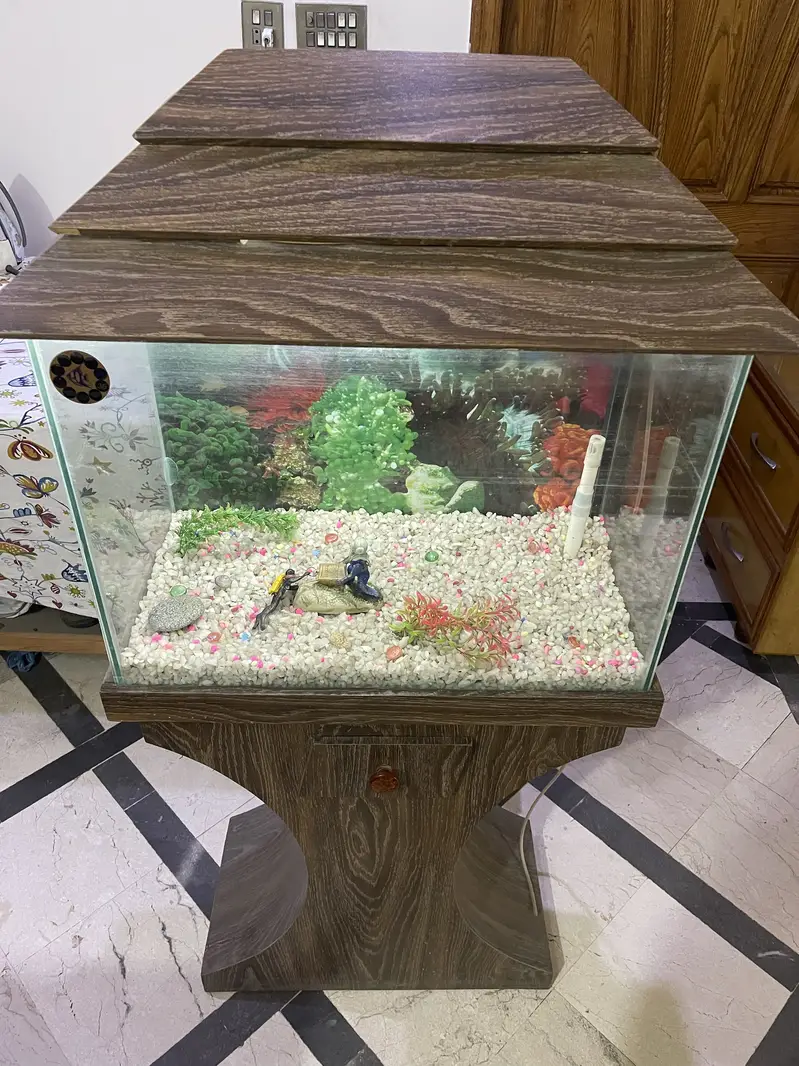 Aquarium For Sale – Complete Decorative Setup — photo 2