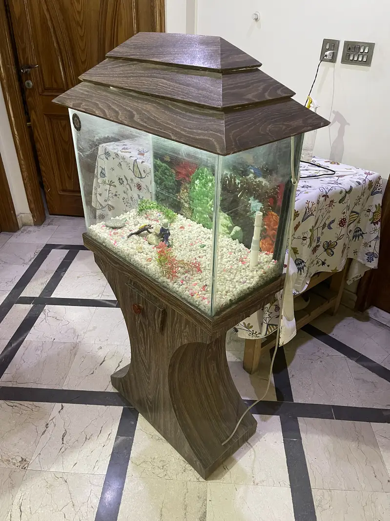 Aquarium For Sale – Complete Decorative Setup — photo 4