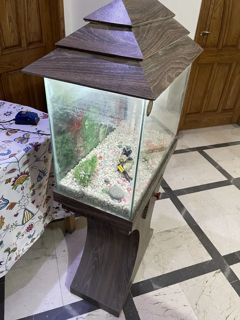 Aquarium For Sale – Complete Decorative Setup — photo 5