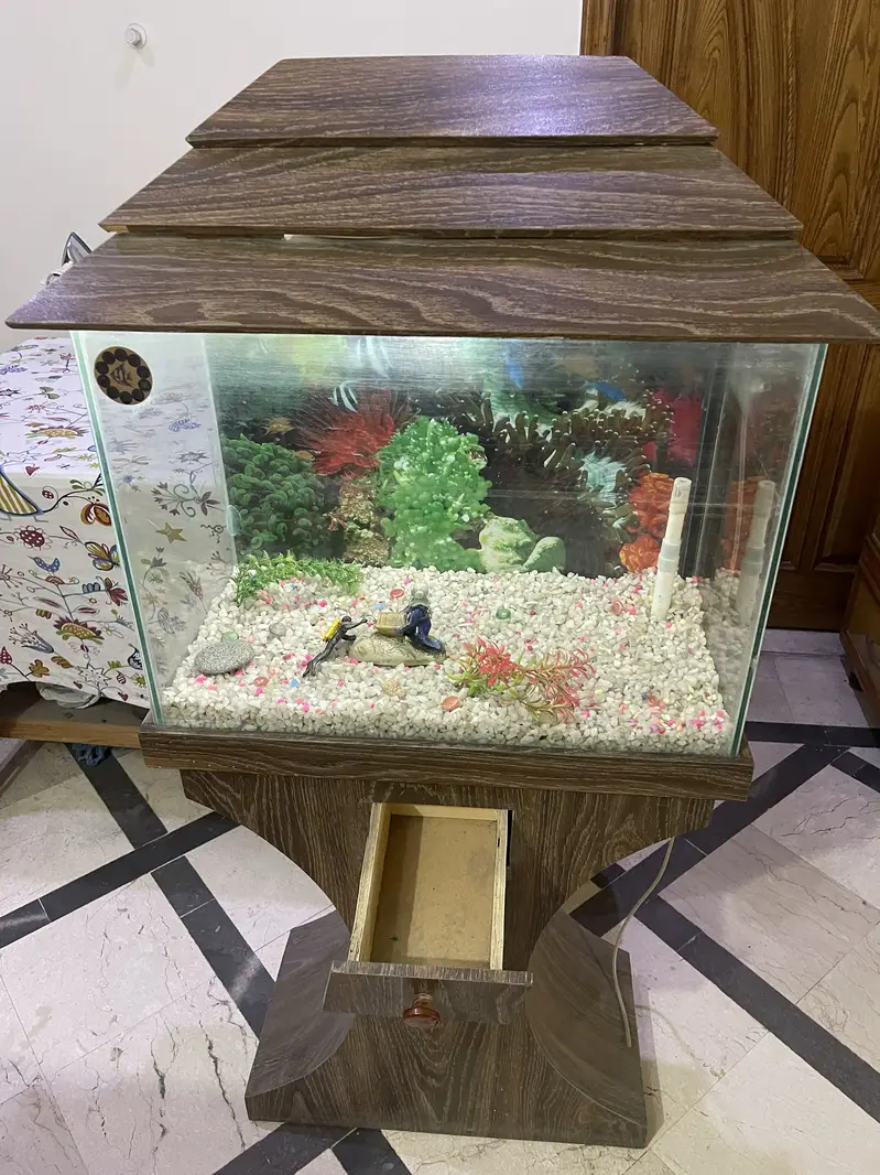 Aquarium For Sale – Complete Decorative Setup — photo 6