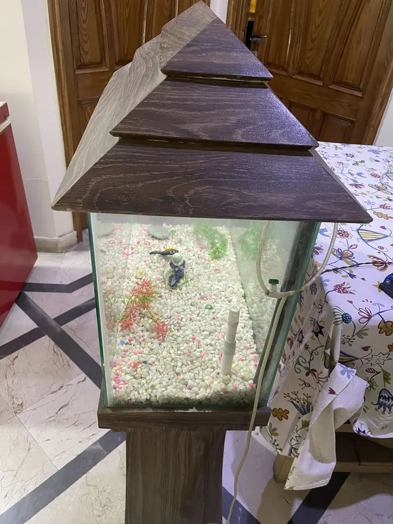 Aquarium For Sale – Complete Decorative Setup — photo 8