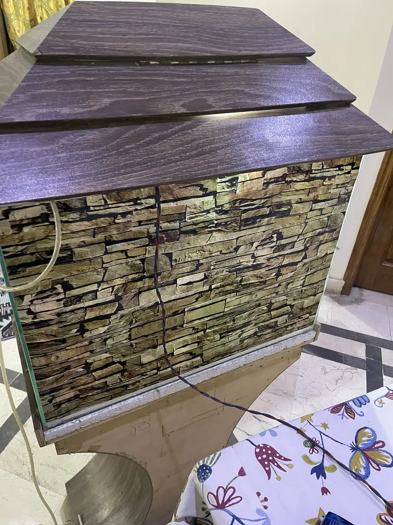 Aquarium For Sale – Complete Decorative Setup — photo 9