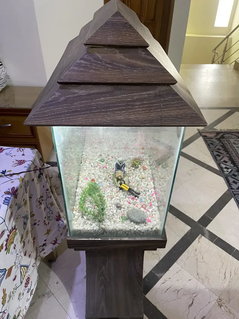 Aquarium For Sale – Complete Decorative Setup — photo 10