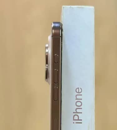 Apple iPhone 16 Pro 2