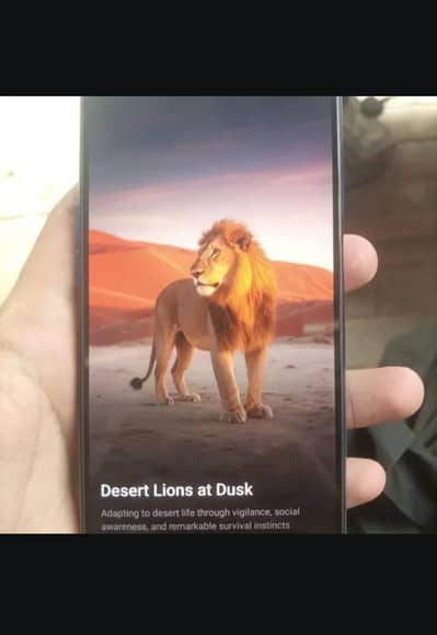 OPPO A54